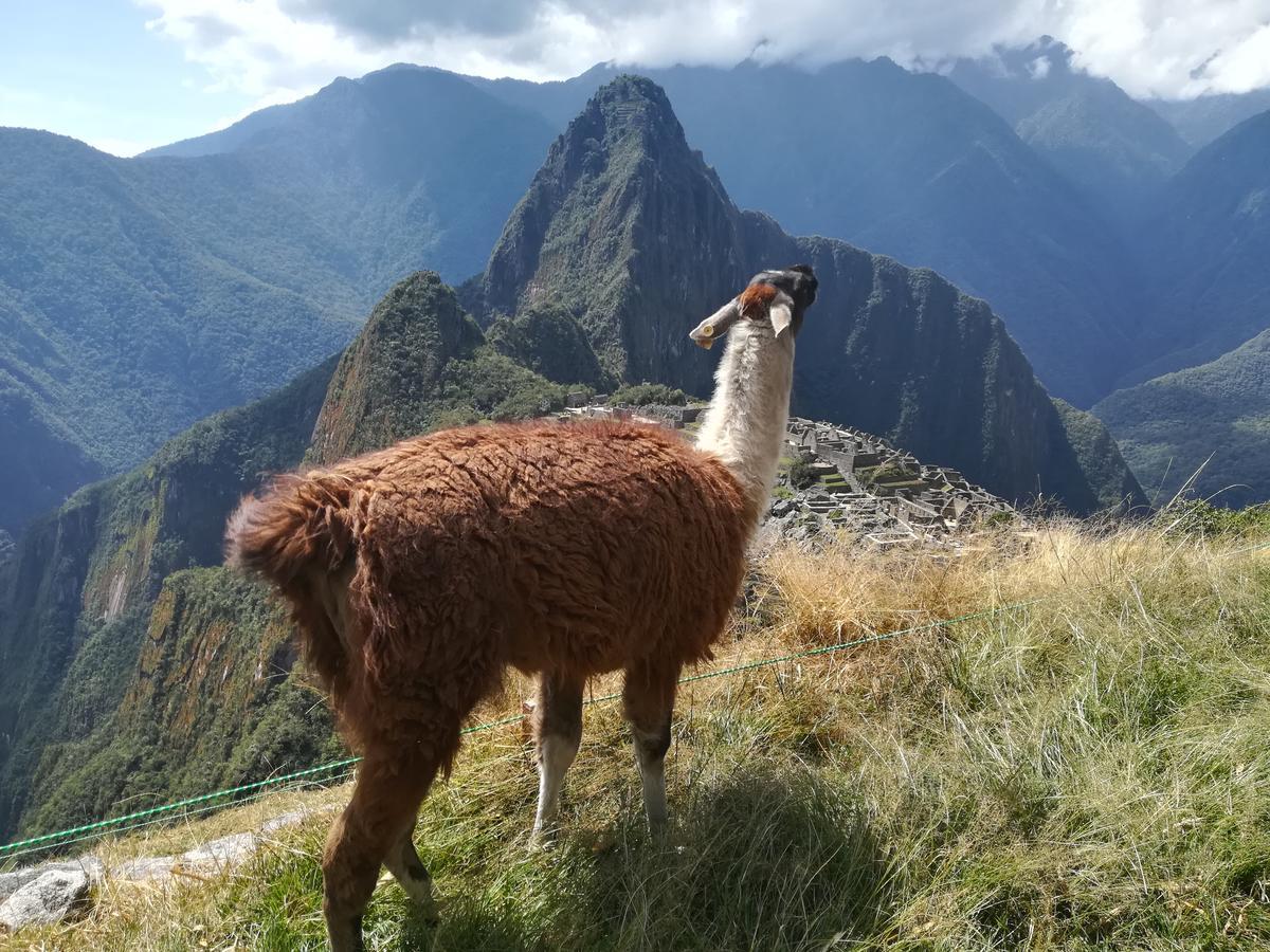 Golden Sunrise Machupicchu Hotel Bagian luar foto